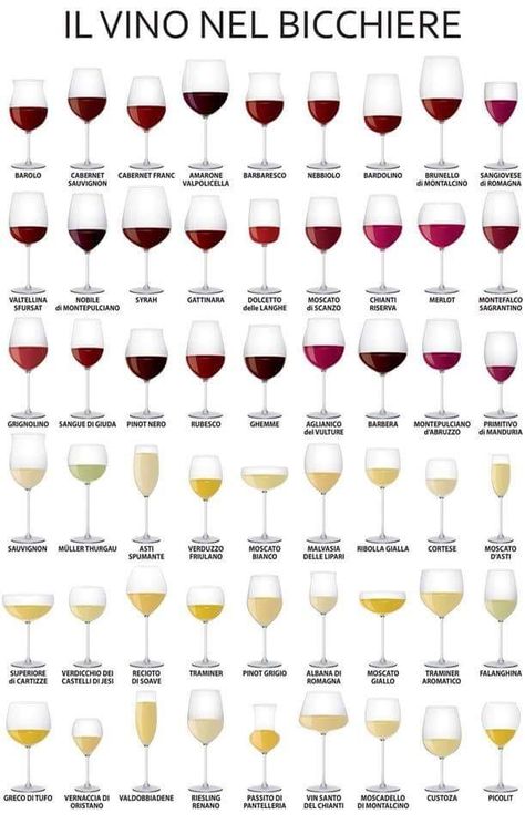 Types Of Wine Glasses, Wine Mixed Drinks, Wine Chart, Wine Cheese Pairing, Wine Glassware, Different Types Of Wine, Making Wine, Wine Knowledge, Dining Etiquette