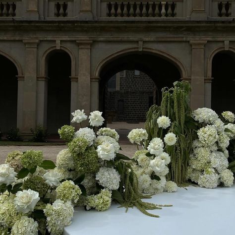 All Posts • Instagram White Roses And Green Hydrangeas, Bouquet With Hydrangea And Roses, Bouquet Of Flowers Hydrangea, Wedding Ceremony Hydrangea, Green And White Hydrangea Wedding, Southern Garden Party Wedding, Roses And Greenery Bouquet, Hydrangea Wedding Ceremony, Amaranthus Wedding