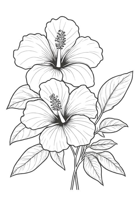 Premium Photo | A drawing of a hibiscus flower with leaves coloring book illustration Hibiscus Drawing, Hibiscus Flower Drawing, Leaves Coloring, Flower With Leaves, Flower Art Drawing, Flower Sketches, Leaf Drawing, Leaf Coloring, Flower Coloring Pages