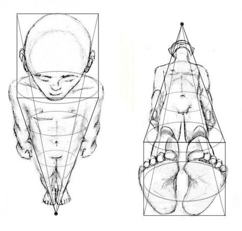 This lesson will explore perspective & foreshortening of the human figure. Perspective Drawing Lessons, Human Figure Drawing, Human Anatomy Art, Human Drawing, Perspective Art, The Human Body, Drawing Lessons, Anatomy Art, Drawing Tutorials