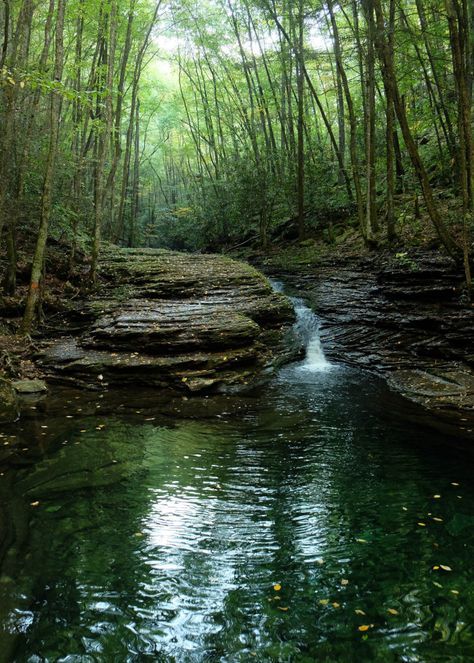 VA The Devil’s Bathtub, Fort Blackmore --For a breathtaking break from reality, all you need is a 1.5 mile hike on the Devil’s Fork Loop Trail in the Jefferson National Forest. It’s a tricky path with streams and slippery rocks, but once you reach Devil’s Bathtub – a pool of nearly crystal green water at the base of a stone slide – you will know it was well worth it. Camping And Hiking, Devils Bathtub, Break From Reality, Virginia Travel, Virginia Is For Lovers, Crystal Green, Hidden Places, Green Water, 2024 Vision