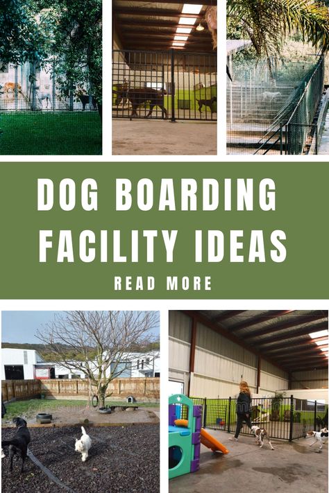 Dog Boarding Facility Ideas Dog Hotel Design, Dog Rescue Facility, Doggie Daycare Ideas, Commercial Dog Kennel Ideas, Dog Boarding Facility Ideas, Dog Daycare Design, Kennel Business, Dog Boarding Ideas, Dog Daycare Business