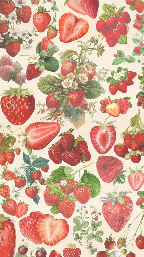 #strawberries #strawberryfields #thebeatles #cottagecore Ed E Lorraine Warren, Fruit Wallpaper, Phone Wallpaper Patterns, Cute Patterns Wallpaper, Pretty Wallpaper Iphone, Iphone Background Wallpaper, Summer Wallpaper, Cute Wallpaper Backgrounds, Ipad Wallpaper