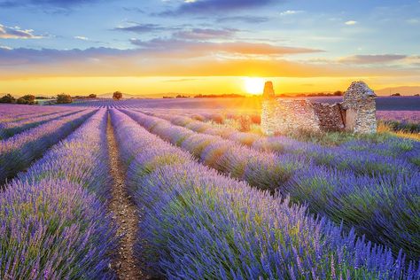 The 15 Best Towns in Provence, France – Fodor's Travel Guide Provence France, Lavender Fields France, Moustiers Sainte Marie, France Landscape, Color Terracota, Visit France, Beaux Villages, American Travel, Medieval Town