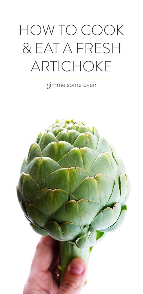 Fresh Artichoke, Steam Artichoke, Instant Pot Steam, Artichoke Extract, How To Cook Artichoke, Dip Sauce, Gimme Some Oven, Artichoke Recipes, Lemon Butter