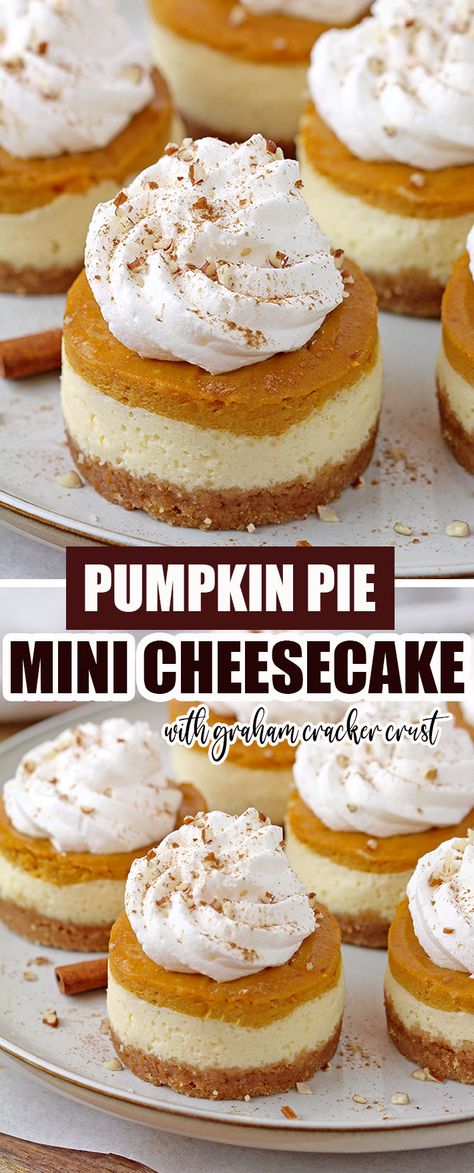 Pumpkin Cheesecake Tarts Recipe, Fun Things To Bake Thanksgiving, Mini Marshmallow Pumpkin Pies, Cute Fall Baking Recipes, Mini Pumpkin Cheesecake Nilla Wafer, Mini Pie Cupcakes, Fall Comfort Desserts, Pumpkin Pie Mini Cheesecakes, Pumpkin Pie In Cupcake Pan