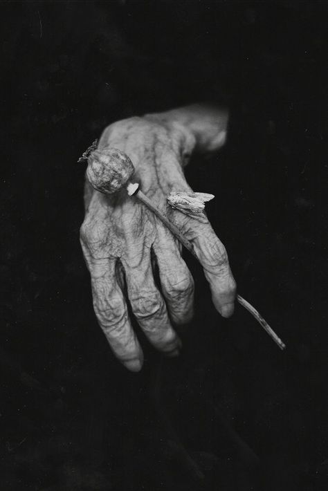 Natalia Drepina | Black & White Photography Awards 2018 Entry Water Photography, Monochrome Posters, Dark Fairytale, Hand Photography, Black Photography, Bw Photography, Photo Competition, Monochrome Photography, Diy Photography