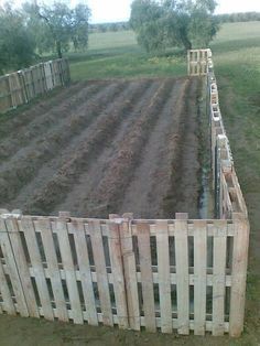 Wood Pallet Fence, Pallet Fence, Pallet Garden, Pallets Garden, Pallet Crafts, Have Inspiration, Homestead Survival, Old Pallets, Amazing Diy