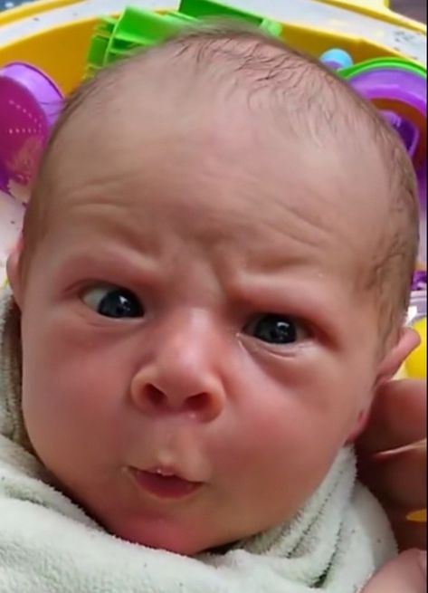 Silly Baby Pictures, Funny Babies Pictures, Fat Babies, Funny Puns For Kids, Baby Humor, Grumpy Baby, Funny Baby Faces, Angry Baby, Funny Baby Boy