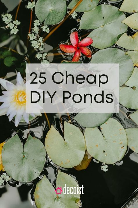 Diy Pond Ideas, Home Projects Diy, Small Fish Pond, Fish Ponds Backyard, Small Backyard Ponds, Diy Ponds Backyard, Raised Pond, Ponds For Small Gardens, Fish Pond Gardens