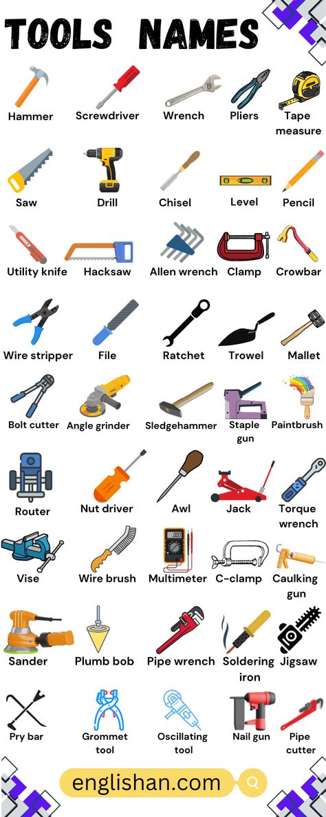 Ielts vocabulary