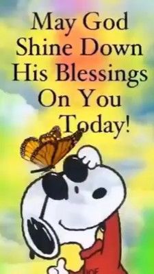 May God shine down his blessings on you today [Video] | Good morning sweetheart quotes, Morning quotes funny, Good morning video songs Christian Good Morning Quotes, Charlie Brown Quotes, Good Morning Snoopy, Sweetheart Quotes, Hug Quotes, Good Morning Sweetheart Quotes, Good Morning Sunshine Quotes, Happy Sunday Quotes, Funny Good Morning Quotes