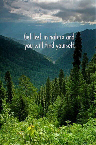 Get lost in nature & you will find yourself Citation Nature, Lost In Nature, Clipuri Video, Nature Quotes, Find Yourself, A Quote, In The Woods, Bones Funny, In Nature