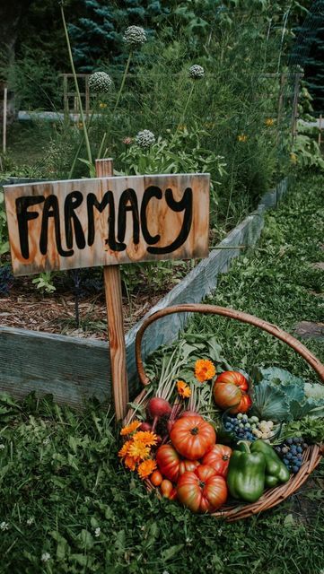 Brandi Rondinelli 🌾 Homesteading mama on Instagram: "Who’s with me?! 🌻🌿 🪶🪿 . . . . . . #simpleliving #simplelife #farmstead #gardener #thehappygardeninglife #plantsaremagic #botanicalpickmeup #backyardgardener #instagardeners #gardenerofinstagram #gardenersworld #gardenerslife #sheinthegarden #cottagecore #cottagegarden #farmtotable #homeschool #homeschoollife #lifeskills #lifeskillsforkids #homeschooling #homeschoolfamily" Smallholding Aesthetic, Holistic Vision Board, Homestead Vision Board, Farm Lifestyle Simple Living, Cottagecore Vegetable Garden, Small Homestead Aesthetic, Home Steading, Homestead Photography, Homestead Vibes