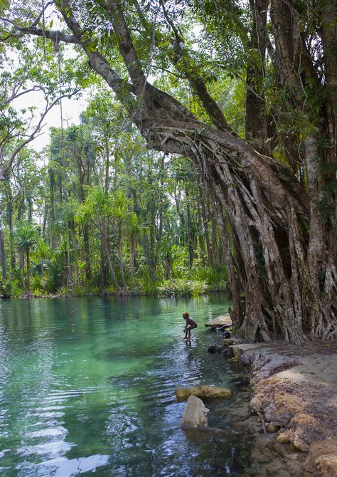 https://flic.kr/p/2kpkmuY | Green water river, New Ireland Province, Laraibina, Papua New Guinea | © Eric Lafforgue www.ericlafforgue.com Papua New Guinea Culture, New Ireland Province, Guinea Country, Guinea Conakry, Ilmu Ekonomi, Art For Walls, Water River, Eric Lafforgue, Oceania Travel