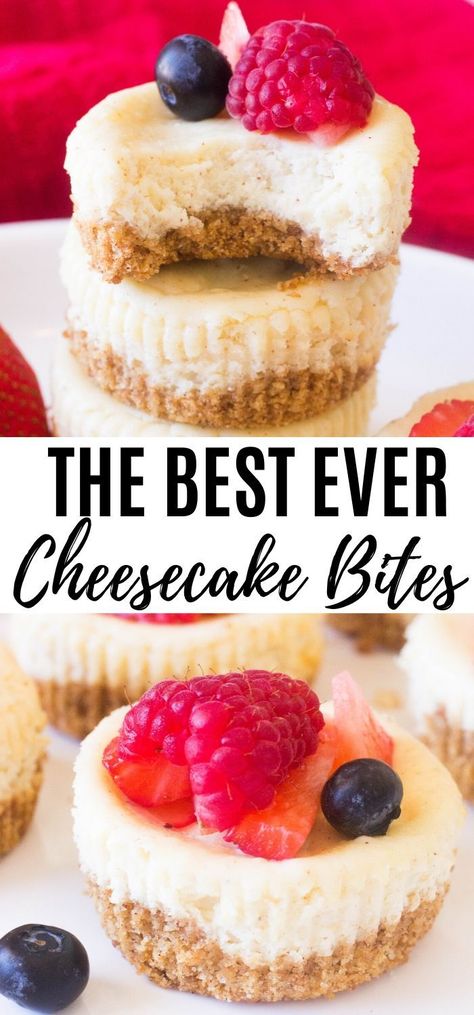 Dessert For Gifts, Easy Cheesecake Cupcakes, Jasmine Dessert, Easiest Desserts, Small Cheesecakes, Mini Cheesecake Bites, Cheesecake Bites Recipe, Baked Desserts, Cheese Brownies