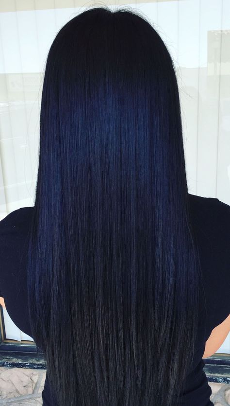 Black Indigo Hair, Dark Blue Hair On Black Hair, Dark Hair Blue Tint, Black Hair With Blue Tint Dark, Midnight Blueberry Black Hair, Long Black Blue Hair, Dark Royal Blue Hair, Darkest Blue Hair, Jet Black Hair With Blue Undertone