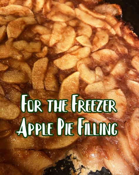 Freezer Apple Pie, Freezing Apple Pie, Freezer Apple Pie Filling, Can Apple Pie Filling, Canning Apple Pie Filling, Apple Pie Filling Recipes, Freezing Apples, Pie Filling Recipes, Apple Recipes Easy