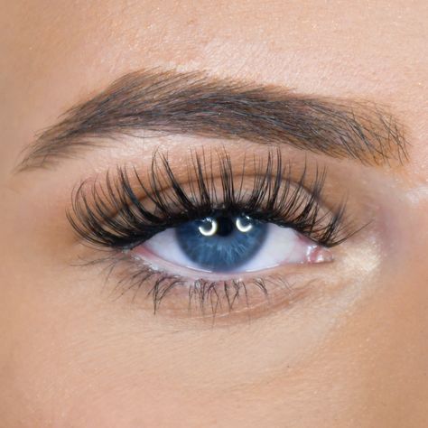 #Deb_Makeup #Desired_Beauty #Manifestation_Goals #Eyelash_Extensions_Classic Deb Makeup, Summer Lashes, Desired Beauty, Manifestation Goals, Eyelash Extensions Classic, Lash Strips, Natural Fake Eyelashes, Evening Eye Makeup, Lash Extentions