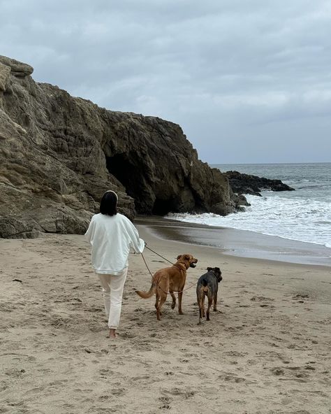 beach, ocean, coastal, malibu, summer, cute gir walk, dogs, aesthetic Coastal Lifestyle Aesthetic, Dog Life Aesthetic, Beach Living Aesthetic, Dog Beach Aesthetic, Coastal Life Aesthetic, Reese Aesthetic, Beach Walk Aesthetic, Walks With Dog, Nature Walk Aesthetic