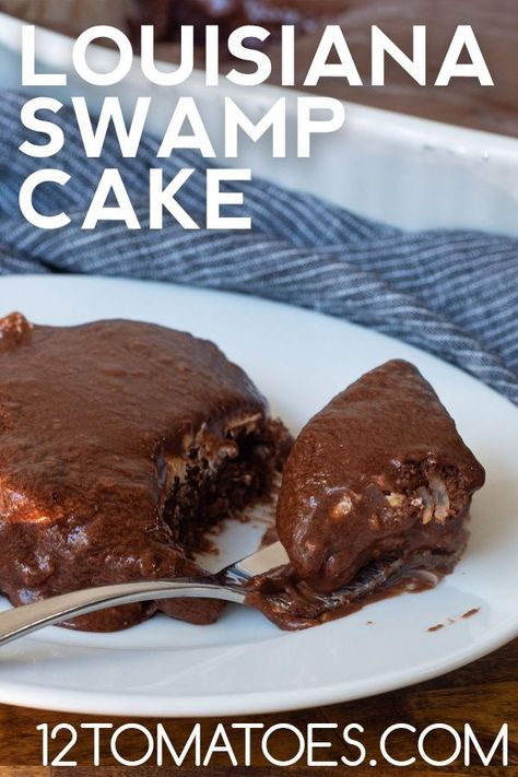 This Louisiana swamp cake recipe contains pecans, coconut, and a secret ingredient that makes this cake extra tasty: marshmallow creme. Louisiana Swamp Cake, Creole Desserts New Orleans, Cajun Desserts Easy, Lane Cake Recipe Alabama, Cajun Deserts, Louisiana Recipes Dessert, Creole Desserts, Louisiana Desserts, Cajun Dessert Recipes