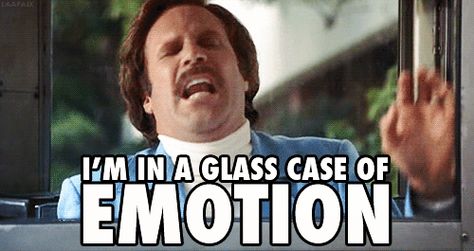 With only a week left of classes, now may seem like the perfect time to enter panic mode Will Ferrell Quotes, Anchorman Quotes, What Are You Like, Anchorman, Will Ferrell, Good Notes, Cultura Pop, Movie Quotes, Content Marketing