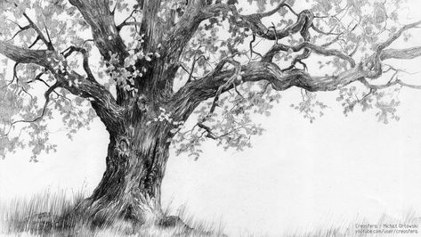 Oak tree - tutorial by micorl on DeviantArt Oak Tree Drawings, Trees Drawing Tutorial, Branch Drawing, Oak Tree Tattoo, Tree Drawings Pencil, Behind Blue Eyes, Pencil Drawing Tutorials, Drawing Eyes, Tree Sketches