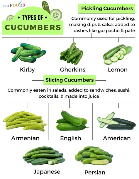 Different Types Of Cucumbers, Types Of Cucumbers, How To Make Dip, Cabbage Varieties, Types Of Cabbage, Culinary Lessons, Cucumber Varieties, Making Sauerkraut, Types Of Onions