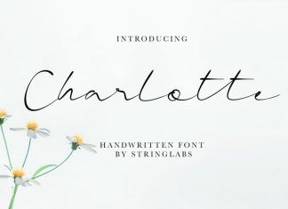 Charlotte Handwritten Font Charlotte Name Calligraphy, Charlotte In Cursive, Charlotte Name Tattoo, Charlotte Tattoo Ideas, Label Fonts, Charlotte Name, Charlotte Tattoo, Princess Font, Best Calligraphy Fonts