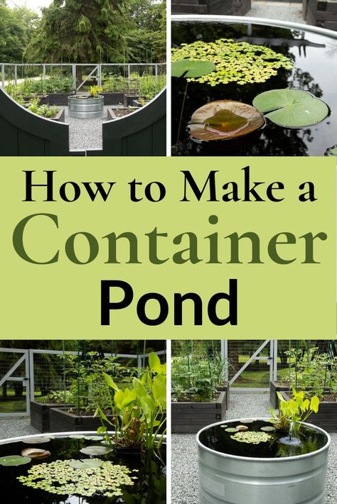 Stock Tank Pond Ideas Water Garden, Small Yard Ponds Ideas, How To Make A Pond, Diy Ponds Backyard Simple Cheap, Container Pond With Fish, Micro Pond, Pot Pond, Pond In A Pot, Patio Ponds