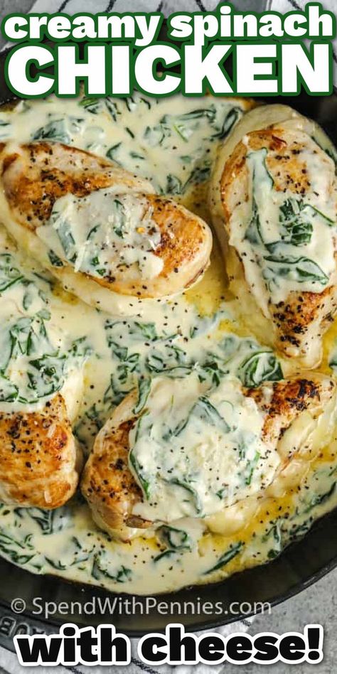 Cheese stuffed chicken breasts in a creamy spinach sauce, this recipe is easy and so delicious! Chicken breasts are filled with cheese, baked, and served in a simple creamed spinach sauce. While it’s really easy to make this meal seems elegant and is perfect served with rice or potatoes. Spinach Stuffed Chicken Breast Recipes, Spinach Stuffed Chicken Breast, Creamy Spinach Chicken, Spinach Cream Sauce, Creamy Spinach Sauce, Spinach Sauce, Stuffed Chicken Breast Spinach, Crockpot Chicken Breast, Stuffed Chicken Breasts