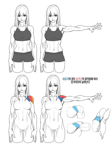 Female Anatomy Reference, Anatomy Tutorial, Human Anatomy Drawing, Human Figure Drawing, Human Anatomy Art, Anatomy Sketches, Body Reference Drawing, 캐릭터 드로잉, Female Anatomy