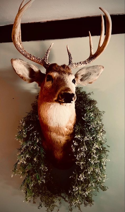 Tasteful Deer Head Decor, Classy Deer Head Decor, Deer Head Aesthetic, Decorated Deer Head, Deer Head Display Ideas, Deer Head Wall Decor Ideas, Deer Mount Above Fireplace, Deer Mount Christmas Decor, Gallery Wall With Deer Mount