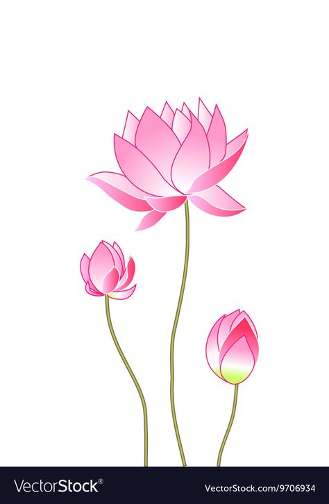 Lotus Vector Illustration, Lotus Motif Design, Pooja Cabinet, Lotus Flower Vector, Flower Design Vector, Lotus Illustration, Thread Ceremony, Lotus Artwork, African Lovebirds