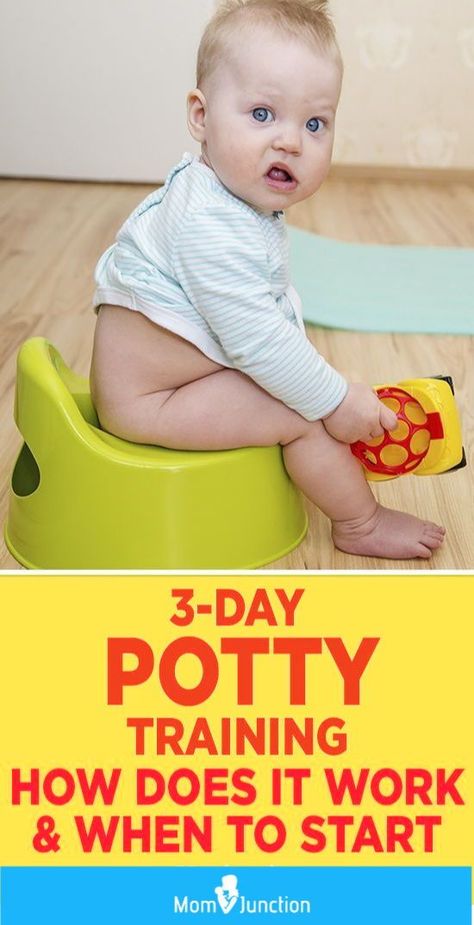 MomJunction tells you about the efficient three-day potty training routine. Here, we will guide you through the training process and clear any doubts you may have about it. #toddlers #pottytraining  #adviceformoms #motherhood #babies Three Day Potty Training, Potty Training Girls, Toddler Potty, Potty Training Boys, Starting Potty Training, Toddler Potty Training, Baby Information, Potty Training Tips, Baby Puree