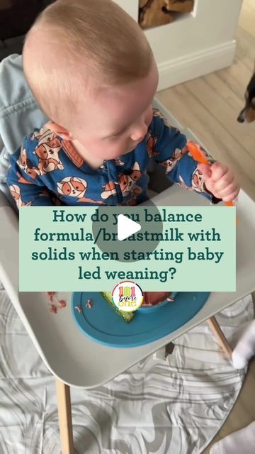 101beforeone | Starting Solids | Baby Led Weaning on Instagram: "If you are a parent with a baby who is getting ready to start solid foods, you're probably wondering how to balance all these new foods with breastmilk/formula!⁠
⁠
👋 Welcome to 101 Before One! ✨ We are a team of pediatric feeding experts (& moms 💕) and we help you introduce solids to your baby 🥑 with Family meals from the start®🍽️.⁠ ⁠
⁠
It can be tricky to figure out how to start solids while still making sure your baby gets the right amount of formula or breastmilk. But don’t worry – we’re here to help you every step of the way!⁠
⁠
Comment READY below, and we’ll send you step-by-step info on how we’ve helped tons of other parents get started on solids, taking the guesswork out of the process.⁠
⁠
📌 Save this post for lat Starting Solids Schedule, 101 Before One, Starting Solids Baby, Starting Solid Foods, Starting Solids, Introducing Solids, We Are A Team, Baby Tips, Led Weaning