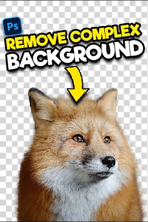 Remove Background In Photoshop, Complex Background, Adobe Photoshop Photography, Studie Hacks, Photoshop Editing Tutorials, Photoshop Lessons, Photoshop Tutorial Graphics, Photoshop Video Tutorials, Photoshop Tutorial Typography