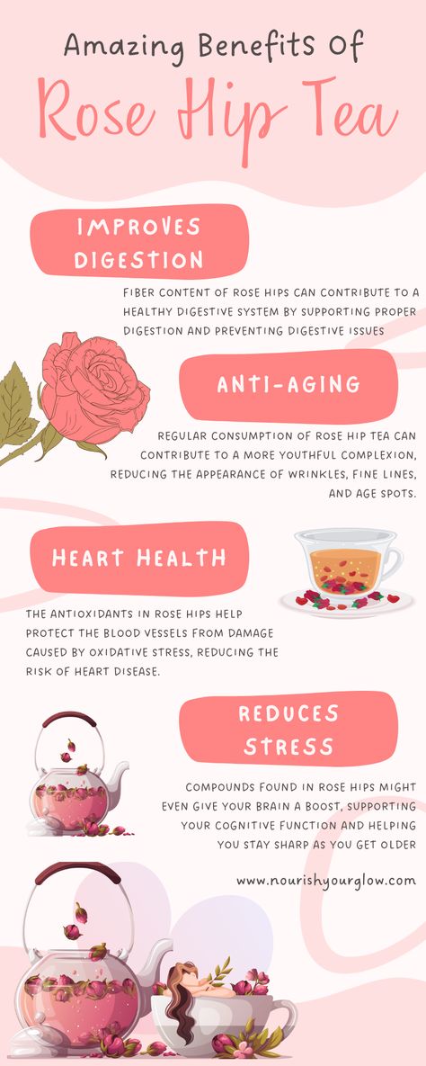 Benefits Of Rosehip Tea, Rose Hips Tea Benefits, Rosehip Benefits, Blackberry Tea Benefits, Rose Hip Witchcraft, Roiboos Tea Benefits, Rose Hip Benefits, Flower Teas, Benefits Of Rose Tea