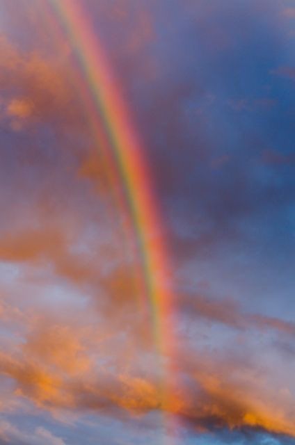 Rainbow Pictures, Rainbow Photography, God's Promise, Rainbow Connection, Double Rainbow, Rainbow Sky, Rainbow Aesthetic, Rainbow Wallpaper, Picture Collage Wall