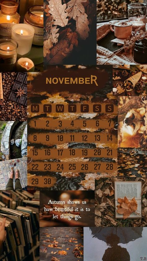 November Goals Aesthetic, Fall Phone Wallpaper Aesthetic November, November Athestic, November Asthetic Wallpers Iphone, November Season Aesthetic, Phone Backgrounds November, November Aesthetic Wallpaper Collage, November Asethic Wallpaper, November Aesthetic Collage