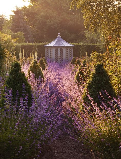 Wollerton Old Hall, Rose Garden Landscape, Twilight Garden, Victorian Gardens, Victorian Garden, Lavender Garden, Pastel Decor, Garden Architecture, Garden Pictures