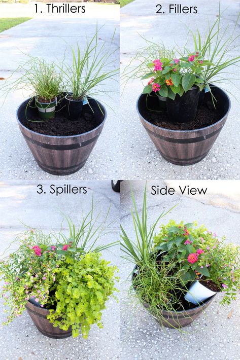 Summer Flower Pots, Tanaman Pot, Pool Small, Porch Plants, Patio Flowers, Porch Flowers, Container Garden Design, Potted Plants Outdoor, Container Gardening Flowers