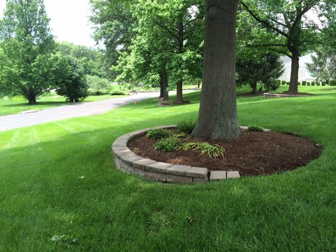 mulching around tree rings...for our front yard tree? Mulch Around Trees, Tree Mulch, Landscaping Around House, Trees For Front Yard, Landscaping Around Trees, Mulch Landscaping, Backyard Trees, Landscaping Trees, Garden Makeover