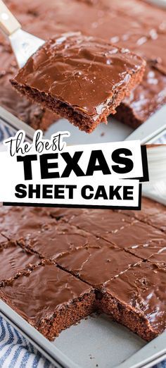 Taste Of Home Texas Sheet Cake, Ree Drummond Texas Sheet Cake, Texas Sheet Cake Box Recipe, Texas Sheet Cake Small Batch, Texas Sheet Cake In 9x13 Pan, Texas Sheet Cake Easy, Simple Texas Sheet Cake, Texas Sheet Pan Cookies, Chocolate Cookie Sheet Cake