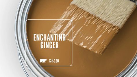 ENCHANTING GINGER S-H-320 | Behr Paint Colors Gold Hearted Behr Paint, Behr Herb Cornucopia, Rust Exterior Paint House Colors, Behr Dark Brown Paint Colors, North Woods Behr Paint, Cognac Paint Color, Cinnamon Paint Colors, Behr Yellow Paint Colors, Mustard Paint Color Walls