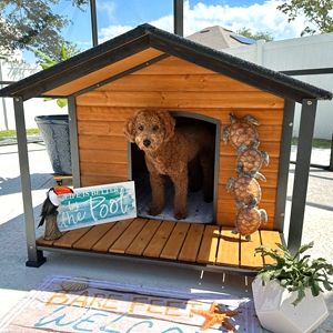 Dog House Outdoor Large Insulated Dog Kennel with Liner for Winter Waterproof Dog Cage for Small & Medium & Large Dogs,Unique All-Around Iron Frame Dog House Outdoor Large, Amazing Dog Houses, Insulated Dog Kennel, Large Dog House Outdoor, Dog House With Porch, Dog House Outdoor, Pet Enclosures, Plastic Dog House, Wood Dog House