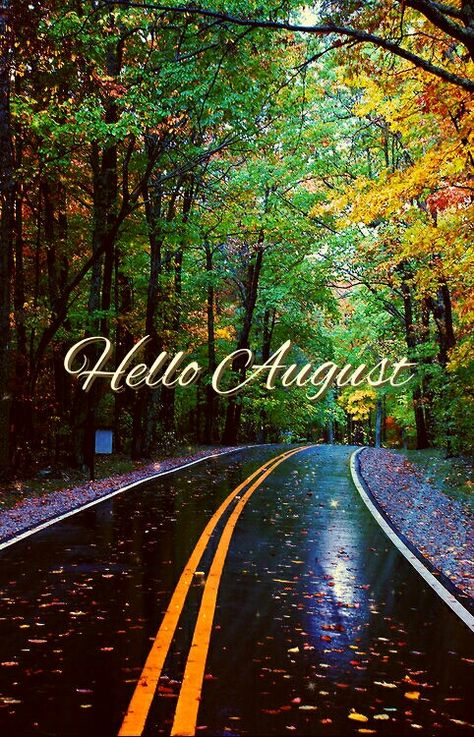 Hello August Month Backgrounds, August Images, Neuer Monat, August Wallpaper, August Quotes, Month Pictures, Month Quotes, Monthly Quotes, Seasons Months