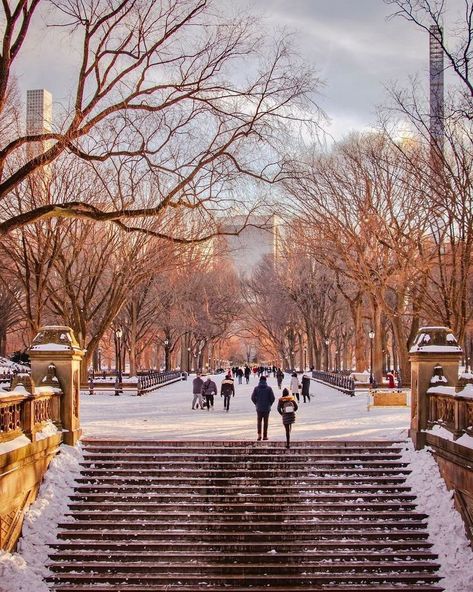 Central Park, New York February, I Love Nyc, New York Christmas, New York Aesthetic, Good Afternoon, Happy Wednesday, All Of Us, The City