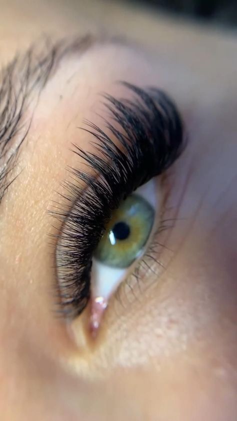 Cat Eye Russian Lash Extensions, Eyelash Extensions Volume Cat Eye, Eyelashes Extensions Cat Eye, Lashes For Big Round Eyes, Volume Wispy Eyelash Extensions Cat Eye, Fluffy Cat Eye Hybrid Lash Extensions, Whisky Cat Eye Lash Extensions, Cat Eyelashes Extensions, Wispy Cat Eye Lash Extensions Volume