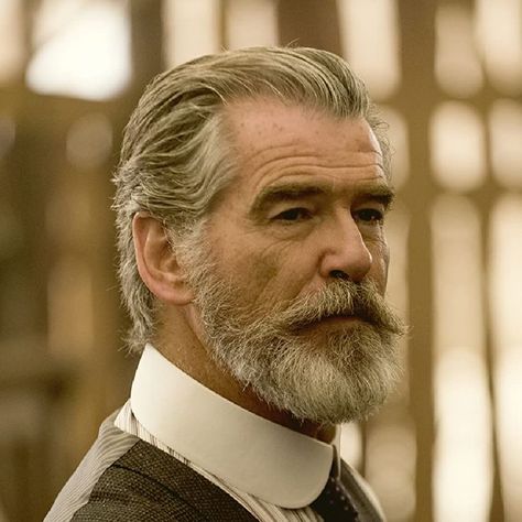 Pierce Brosnan Beard, Old Man With Beard, Moustache Style, Moustaches Men, Beard Shapes, Grey Hair Men, Mustache Men, 얼굴 드로잉, Handsome Older Men